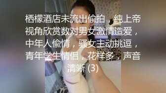 栖檬酒店未流出偸拍，纯上帝视角欣赏数对男女激情造爱，中年人偸情，骚女主动挑逗，青年学生情侣，花样多，声音清晰 (3)