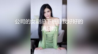 公司的女副总下班要我好好的满足她