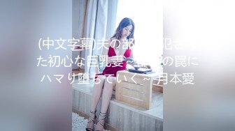 (中文字幕)夫の部下に犯された初心な巨乳妻～都会の罠にハマり堕ちていく～ 月本愛