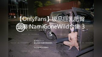 【OnlyFans】极品巨乳肥臀亚裔 NamiGoneWild合集 35