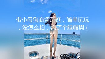 带小母狗商场逛逛，简单玩玩，没怎么拍，约了个绿帽男 (2)