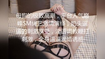 母狗的极致高潮，平台人气巅峰SM绳艺激情演绎，奶头逼逼的刺激享受，淫语调教鞭打刺激，全身逼逼滴蜡诱惑